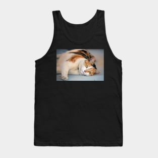 Purrfect Day Tank Top